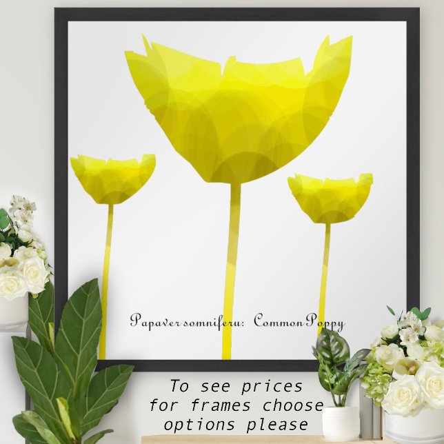 Poppy Impressão (Criador carregado)