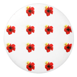 POPPY RED FLOWPADRÕES