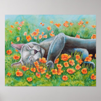 Poppy's Poppies Poster