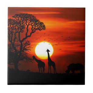 Por do sol alaranjado na silhueta do girafa de