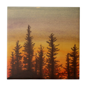 Por do sol de Pinetree