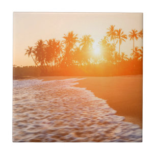 Por do sol na praia com palmas de coco   Sri Lanka