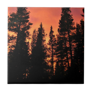 Pôr do sol nos prados de Tuolumne, Yosemite, CA