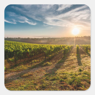 Por do sol sobre a etiqueta da fazenda