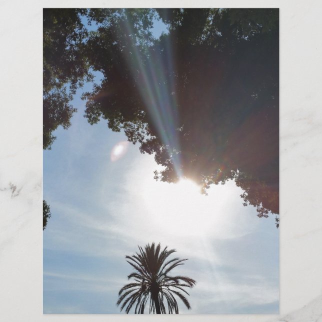 pôr do sol sobre o parque (Frente)