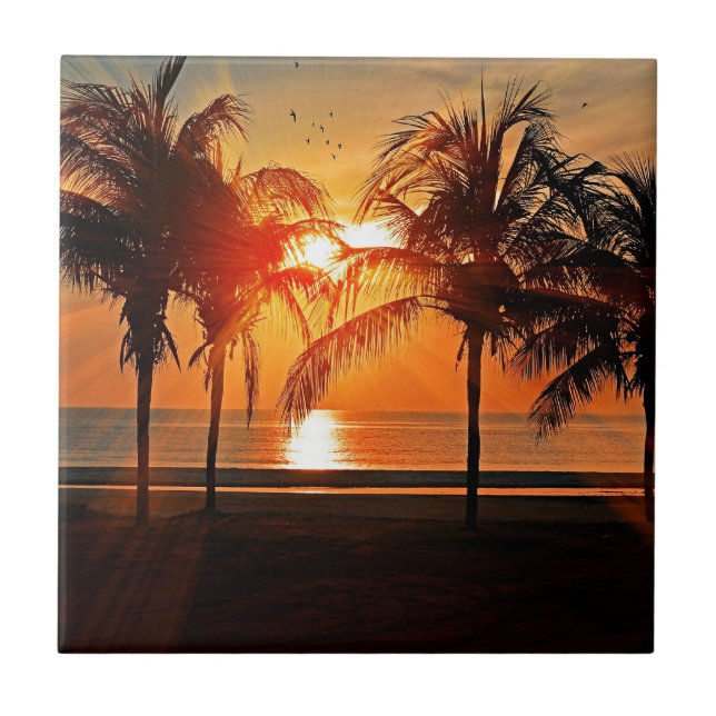 Pôr do sol tropical (Frente)