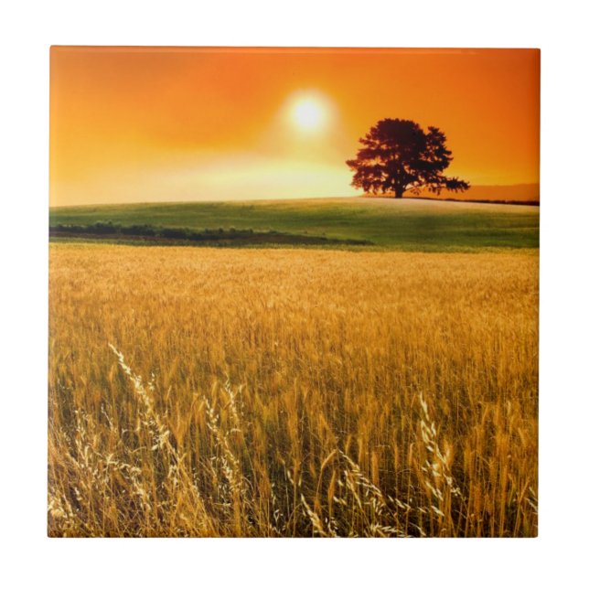 Por do sol vermelho-sangue (Frente)