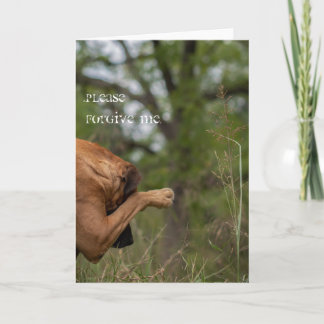 Por favor, perdoe-me o cartão