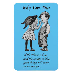 Por que votar azul no ímã de 2022