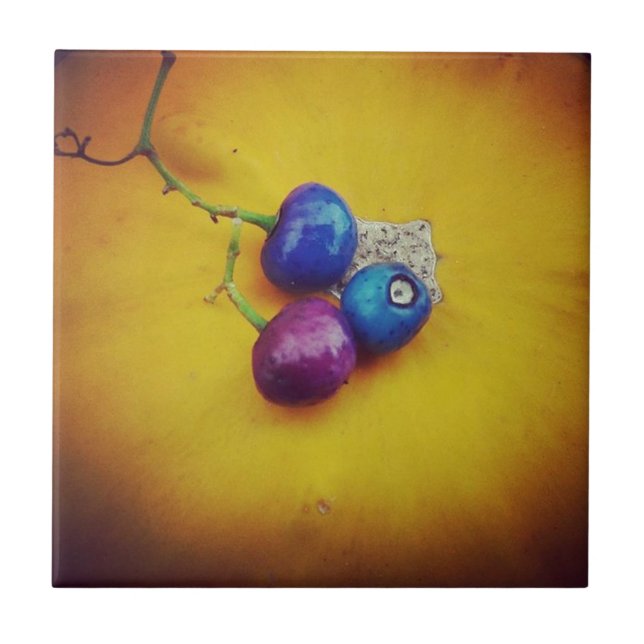 Porcelain Berries em uma abóbora (Frente)