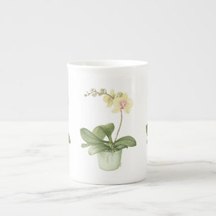 Porcelana Orquídea no pote verde na caneca botânica de Chi