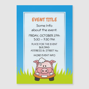 Porco De Lavagem De Carros