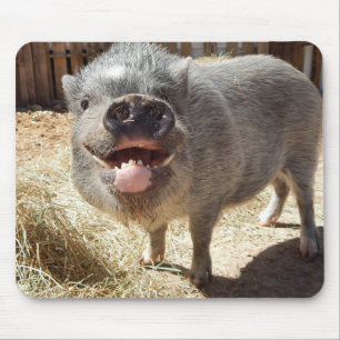 Porco de sorriso Mousepad