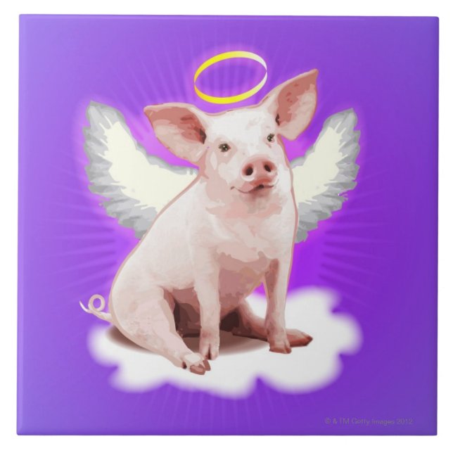 Porco do anjo (Frente)