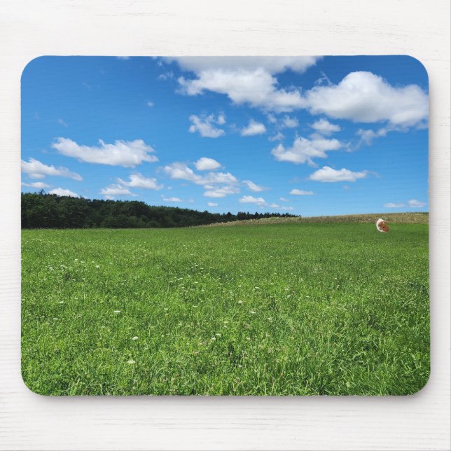 Porco-guineense num Mousepad de Campo (Frente)