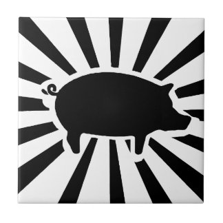 PORCO MIM - raios do porco
