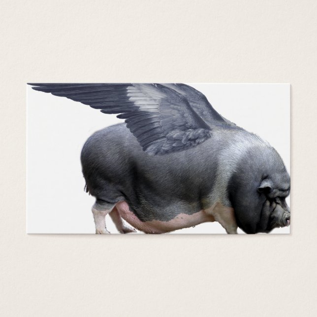 porco voador (Frente)