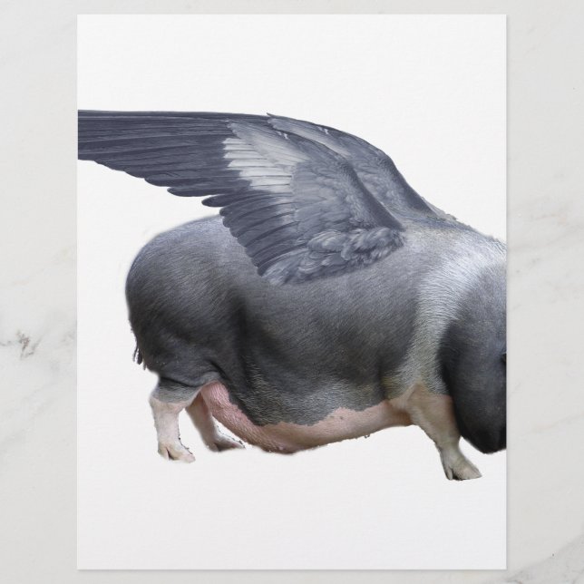 porco voador (Frente)