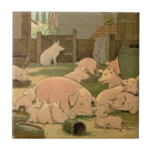 Porcos e leitão na fazenda