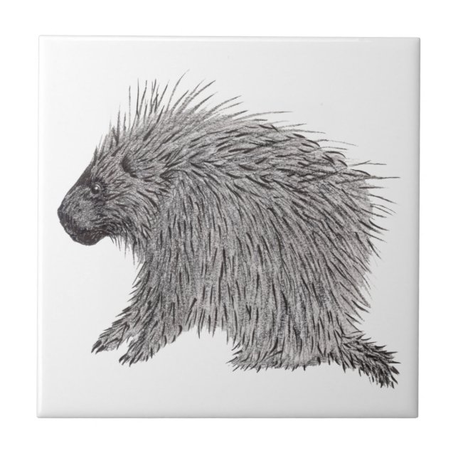 Porcupine (Frente)