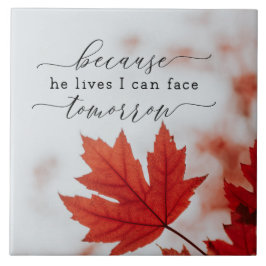 Porque Ele Mora Eu Posso Enfrentar Amanhã Inspiraç