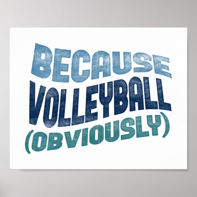 Porque Poster de Voleibol - Arte Engraçada De Vole (Frente)