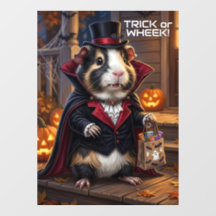 Porquinhos-da-índia de Halloween, Fantasia de Gato
