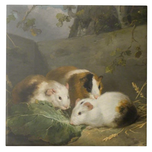 Porquinhos-da-índia (por George Morland) (Frente)