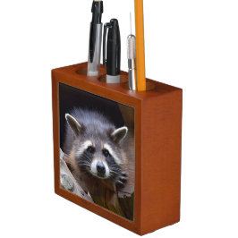 Porta-caneta Cute Raccoon