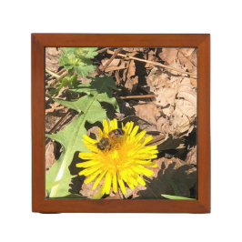 Porta-caneta Organizador da Mesa do Bee