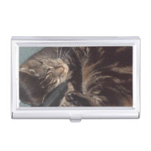 Detentor de Cartão de Visita do Dave