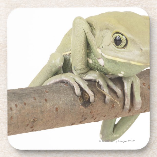 PORTA-COPO 23568119 (Frente)