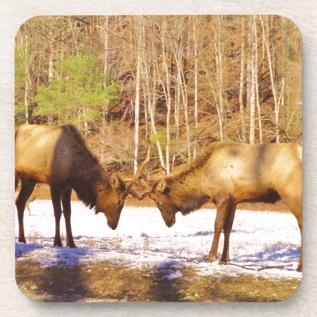 Porta-copo 2~ 2 Bull Elk na neve (Frente)