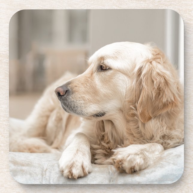 Porta-copo 34137641_xxl (Frente)