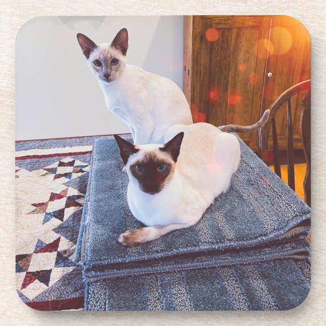 Porta-copo 6 Duro Siamês portas copos plásticas com rolha (Frente)