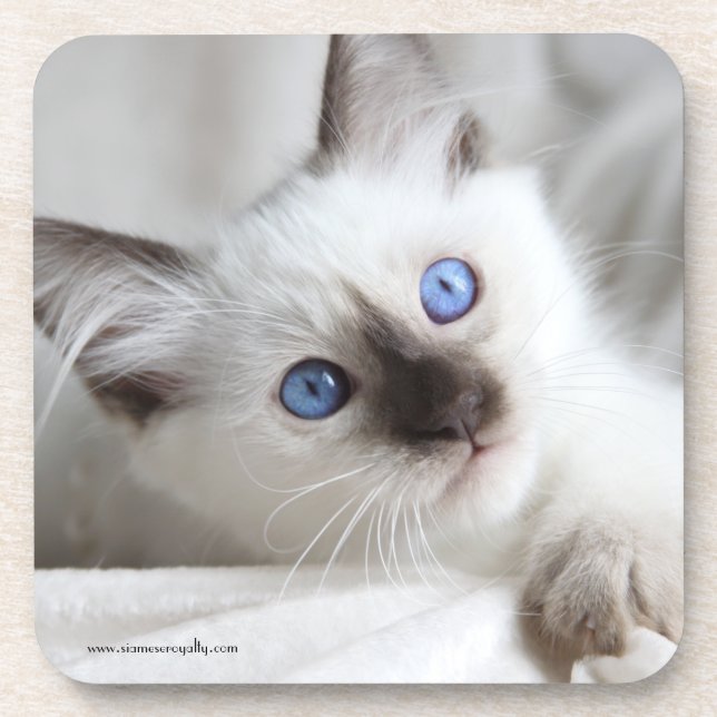 Porta-copo 6 portas copos plásticas duras do Balinese com (Frente)