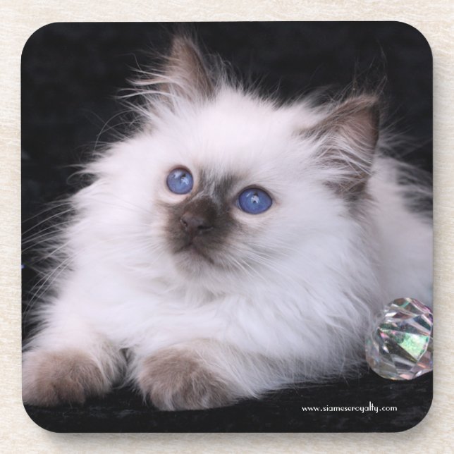 Porta-copo 6 portas copos plásticas duras do Balinese com (Frente)