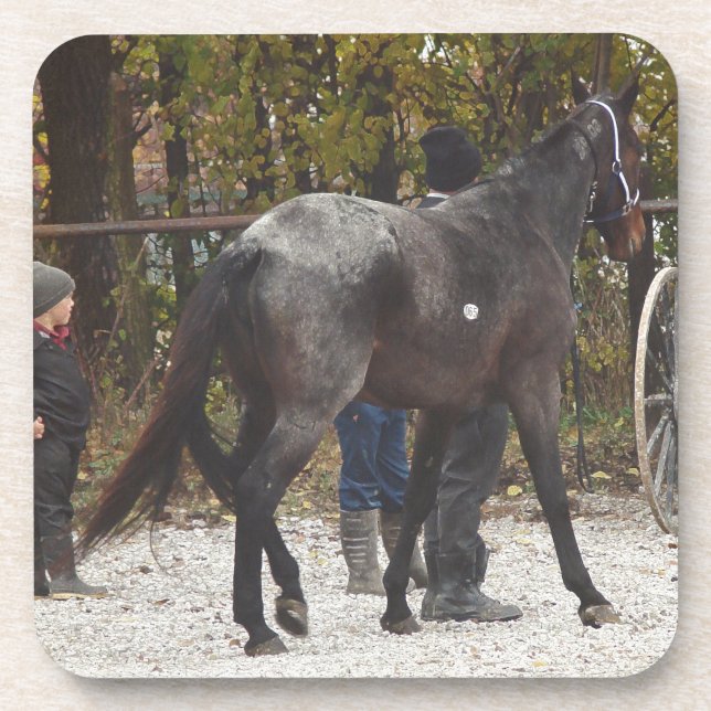 Porta-copo A New Horse (Frente)