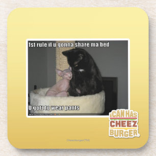 Porta-copo ?a regra se u que vai compartilhar da cama 2 das