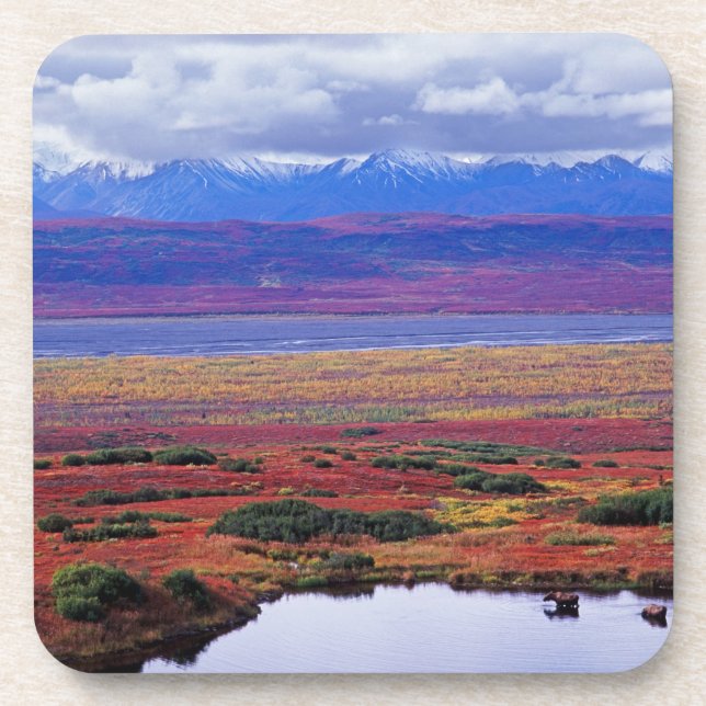 Porta-copo A tundra do Parque Nacional de Denali, no fim (Frente)