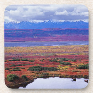 Porta-copo A tundra do Parque Nacional Denali no final