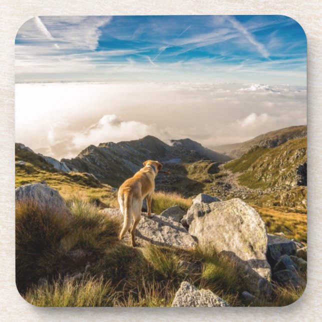 Porta-copo A viagem (Frente)