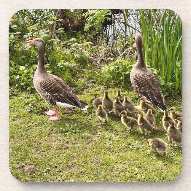 Porta-copo A vida do Pato. (Frente)