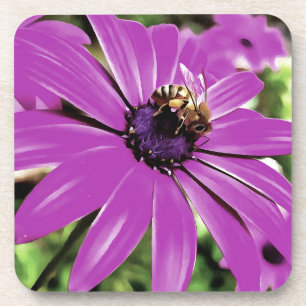 Porta-copo Abelhas De Mel Numa Arte Daisy Africana Roxa