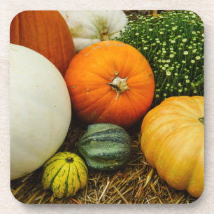 Porta-copo Abóboras e Gourds