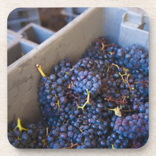 Porta-copo Adega Marques de Riscal, uvas