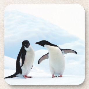 Porta-copo Adelie Penguins