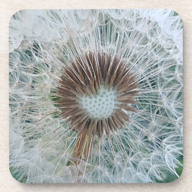 Porta-copo Adorável Dandelion Branco (Frente)