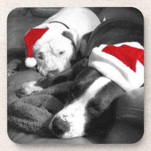Porta-copo adorável papais noeis do pitbull de natal