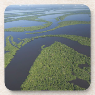 Porta-copo Aérea do Arquipélago de Anavilhanas, Inundado